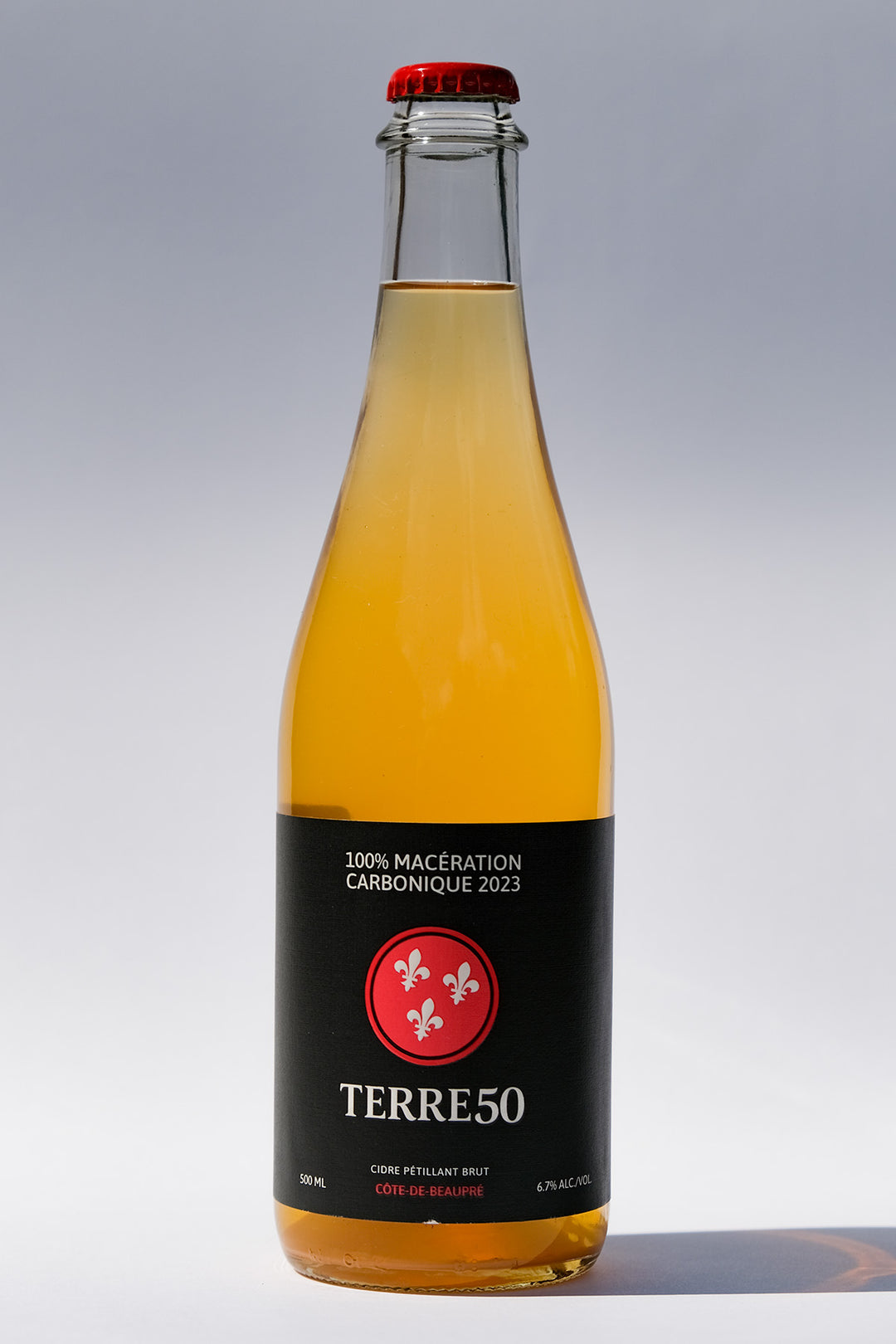 Duo de Cidres Nobles 2024 – Macérations Pelliculaire & Carbonique