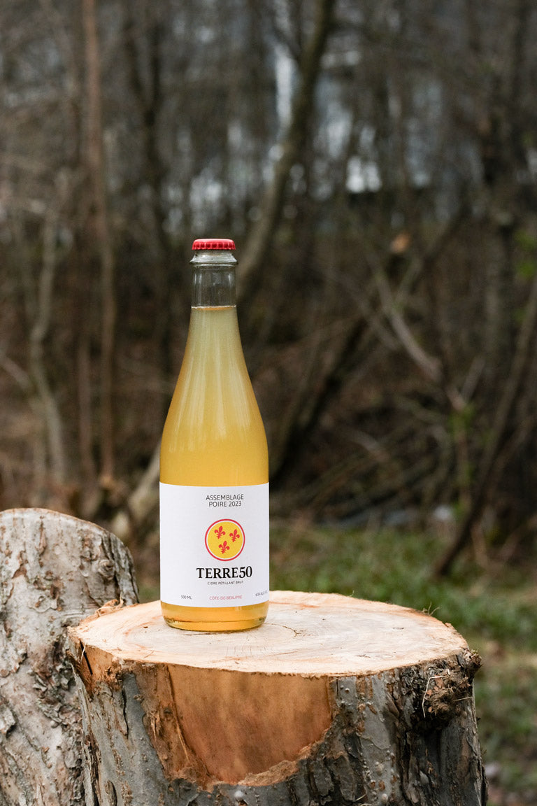 Bouteille de cidre Assemblage Poire posée sur une bûche en bois à l'extérieur. La bouteille contient un liquide doré clair et est étiquetée avec le logo de Terre 50. L'arrière-plan naturel, avec des arbres et de la verdure, met en valeur l'authenticité et la qualité du produit artisanal, sous une lumière naturelle qui illumine la scène.