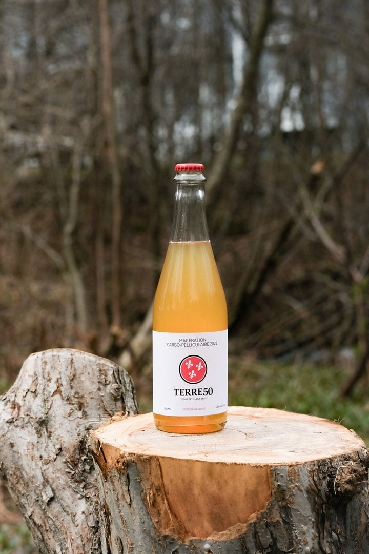 Bouteille de cidre Macération Pelliculaire posée sur une bûche en bois à l'extérieur. La bouteille contient un liquide doré et est étiquetée avec le logo de Terre 50. L'arrière-plan naturel, avec des arbres et de la verdure, met en valeur l'authenticité et la qualité du produit artisanal, sous une lumière naturelle qui illumine la scène.