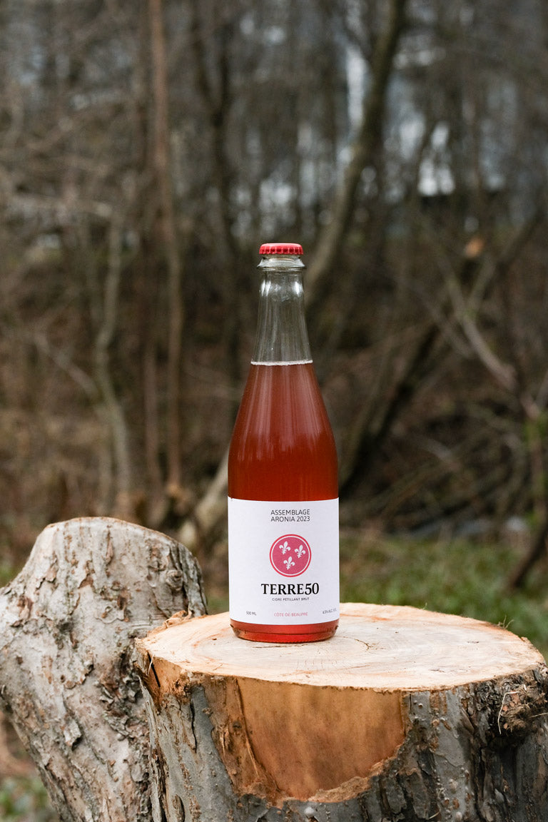 Bouteille de cidre Assemblage Aronia posée sur une bûche en bois à l'extérieur. La bouteille contient un liquide rouge rubis et est étiquetée avec le logo de Terre 50. L'arrière-plan naturel, avec des arbres et de la verdure, met en valeur l'authenticité et la qualité du produit artisanal, sous une lumière naturelle qui illumine la scène.