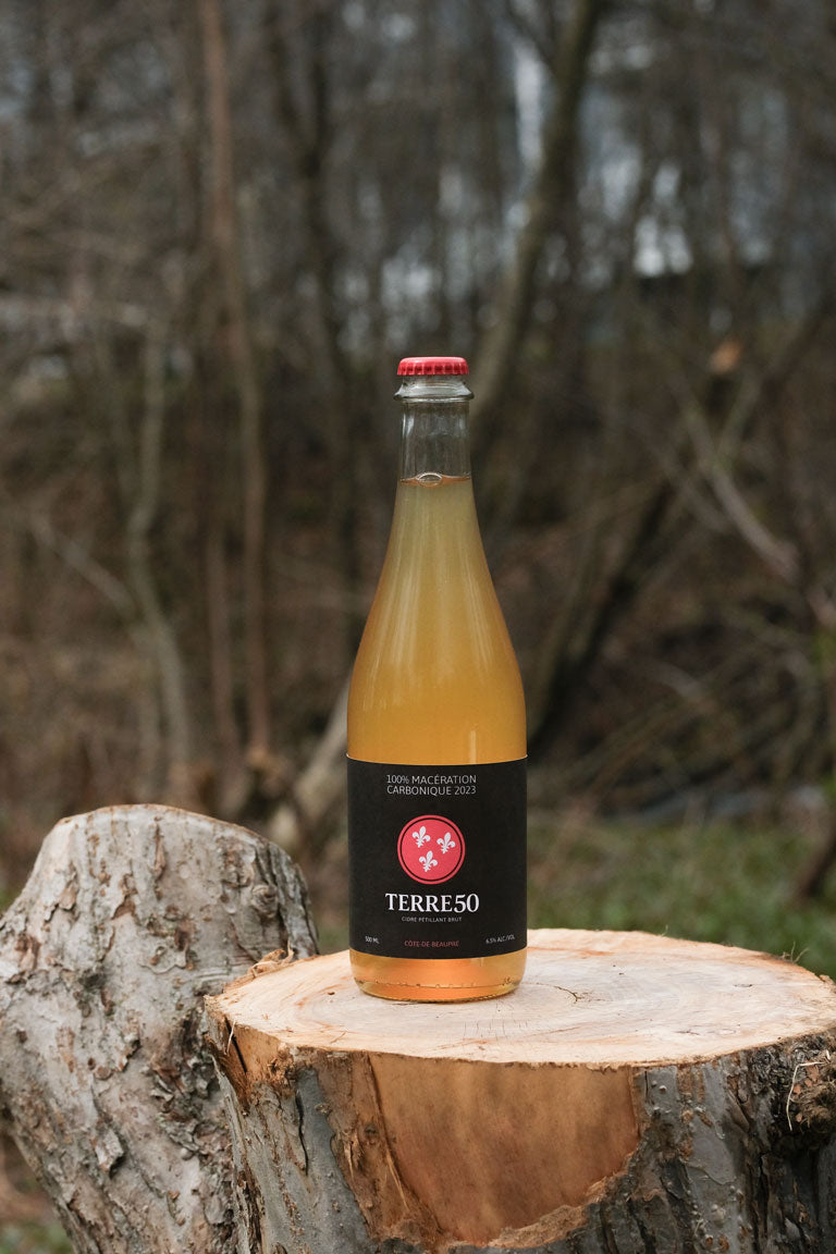 Bouteille de cidre Macération carbonique posée sur une bûche en bois à l'extérieur. La bouteille contient un liquide doré clair et est étiquetée avec le logo de Terre 50. L'arrière-plan naturel, avec des arbres et de la verdure, met en valeur l'authenticité et la qualité du produit artisanal, sous une lumière naturelle qui illumine la scène.