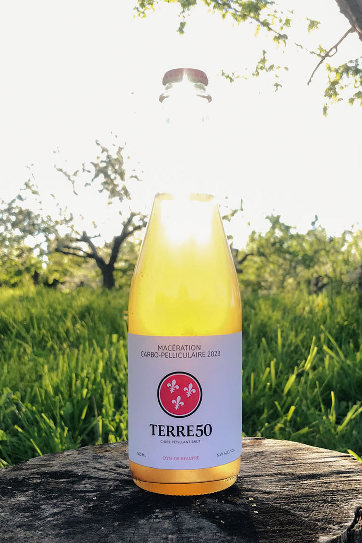 Bouteille de cidre en contre-jour montrant le processus de macération carbo-pelliculaire. La bouteille en verre est illuminée par une lumière naturelle venant de l'arrière-plan, accentuant la transparence du liquide doré à l'intérieur. L'étiquette est partiellement visible, mettant en avant le produit artisanal dans un cadre rustique et authentique