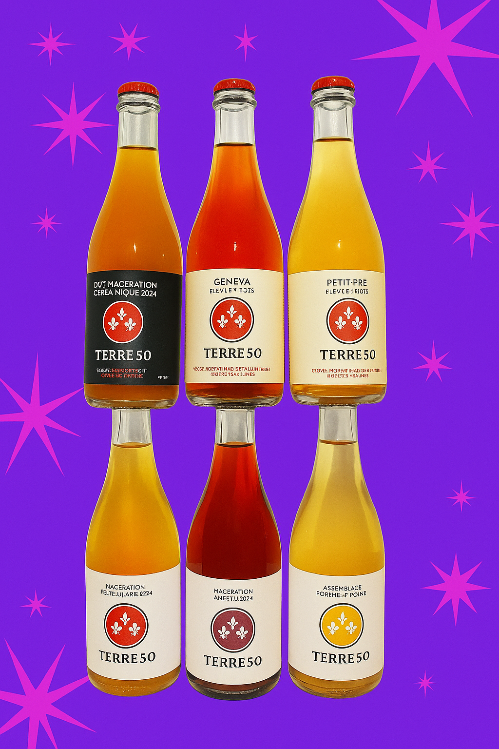 Caisse Découverte – 6 Cidres Pétillants - Millésime 2024