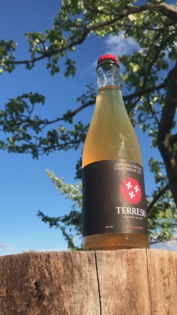 idéo montrant une bouteille de cidre 100% Macération Carbonique en contre-jour. La lumière naturelle met en valeur le liquide doré dans la bouteille en verre. L'étiquette artisanale est visible, soulignant l'authenticité et la qualité du produit.