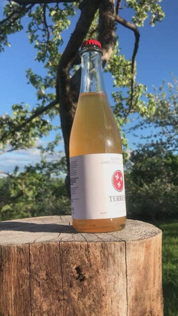 Vidéo montrant une bouteille de cidre 100% Macération Carbonique en contre-jour. La bouteille en verre contient un liquide doré, éclairée par une lumière naturelle provenant de l'arrière-plan. Le liquide brille sous la lumière, mettant en valeur sa clarté et sa qualité. L'étiquette artisanale est visible, ajoutant une touche d'authenticité au produit. La scène illustre le processus artisanal et l'attention portée aux détails dans la fabrication du cidre.