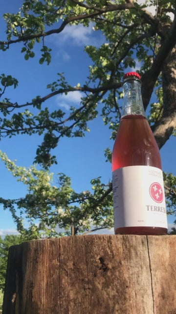 Vidéo montrant une bouteille de cidre Macération Aronia en contre-jour. La lumière naturelle met en valeur le liquide rouge foncé dans la bouteille en verre. L'étiquette artisanale est visible, soulignant l'authenticité et la qualité du produit.